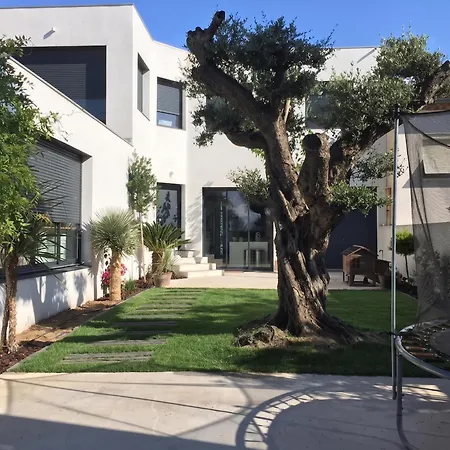 Magnifique Maison Posée Sur Le Sable Face à La Villa
